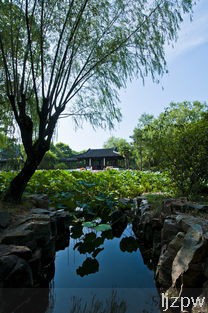 自由行杭州苏州上海的旅游路线？