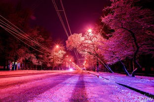  北京到莫斯科的***价格是多少？