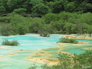九寨沟五日游(美不胜收的风景和行程安排)