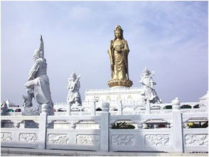 普陀山景区简介的相关疑问式需求词可能有：