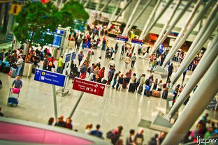  如何在上海国际机场免税店购买免税商品？