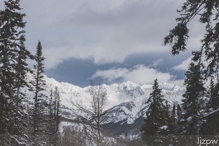 四川有雪的旅游景点(冬日必去的四川雪景推荐)