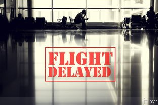 河南旅游政策最新动态？