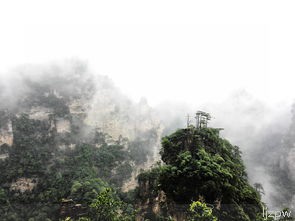  张家界三宝？
