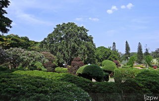 四川芦山县属于哪个市的相关疑问式需求词可能有：