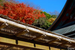  三峡旅游必去的景点？