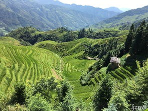  桂林旅游需要到达哪个车站？
