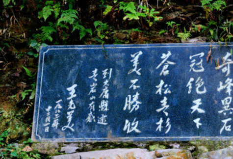 金鞭溪 秀才藏书