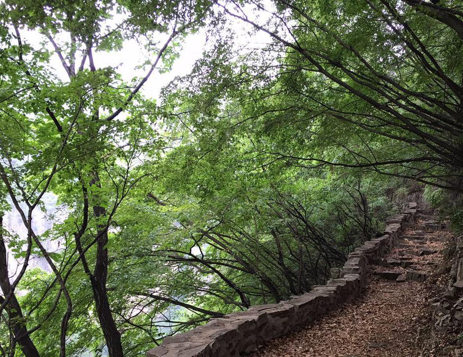 石家庄到藏山一日游