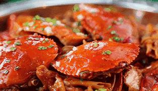崇明岛什么时候去最好