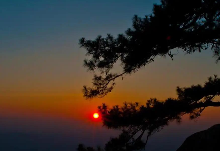 泰山旅馆