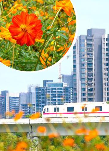 广州适合春节来吗